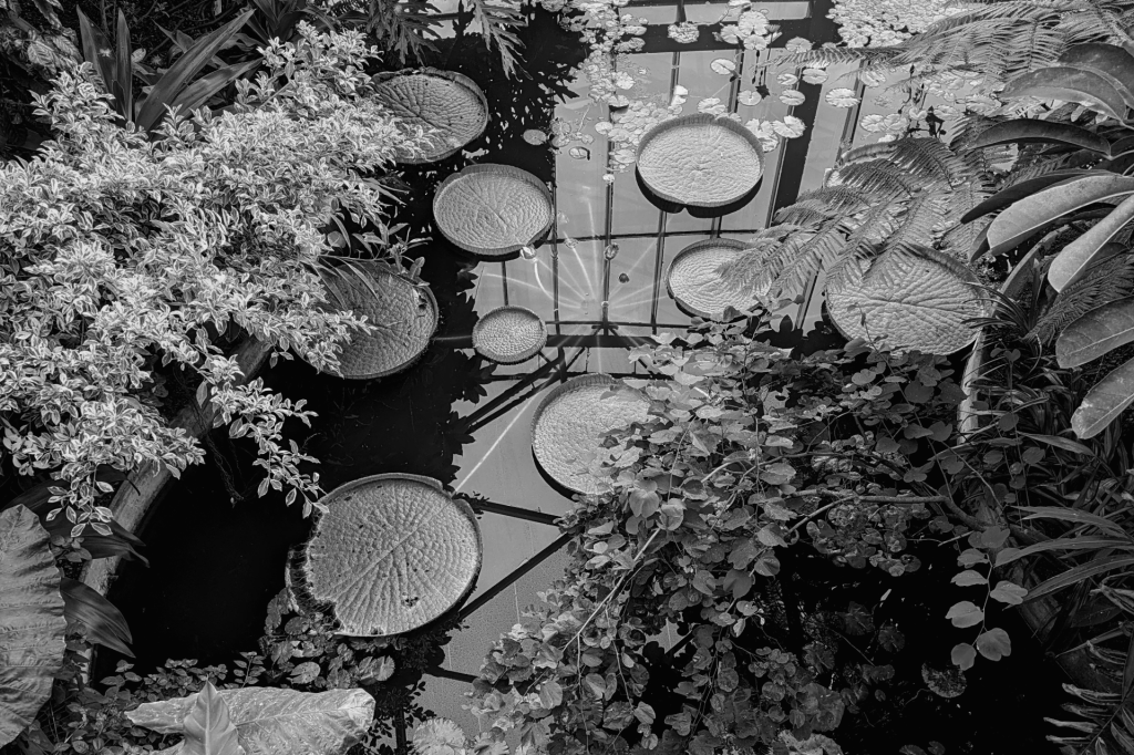 My 20 years of experience and&nbsp;more