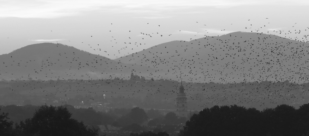 Scale of working&nbsp;together